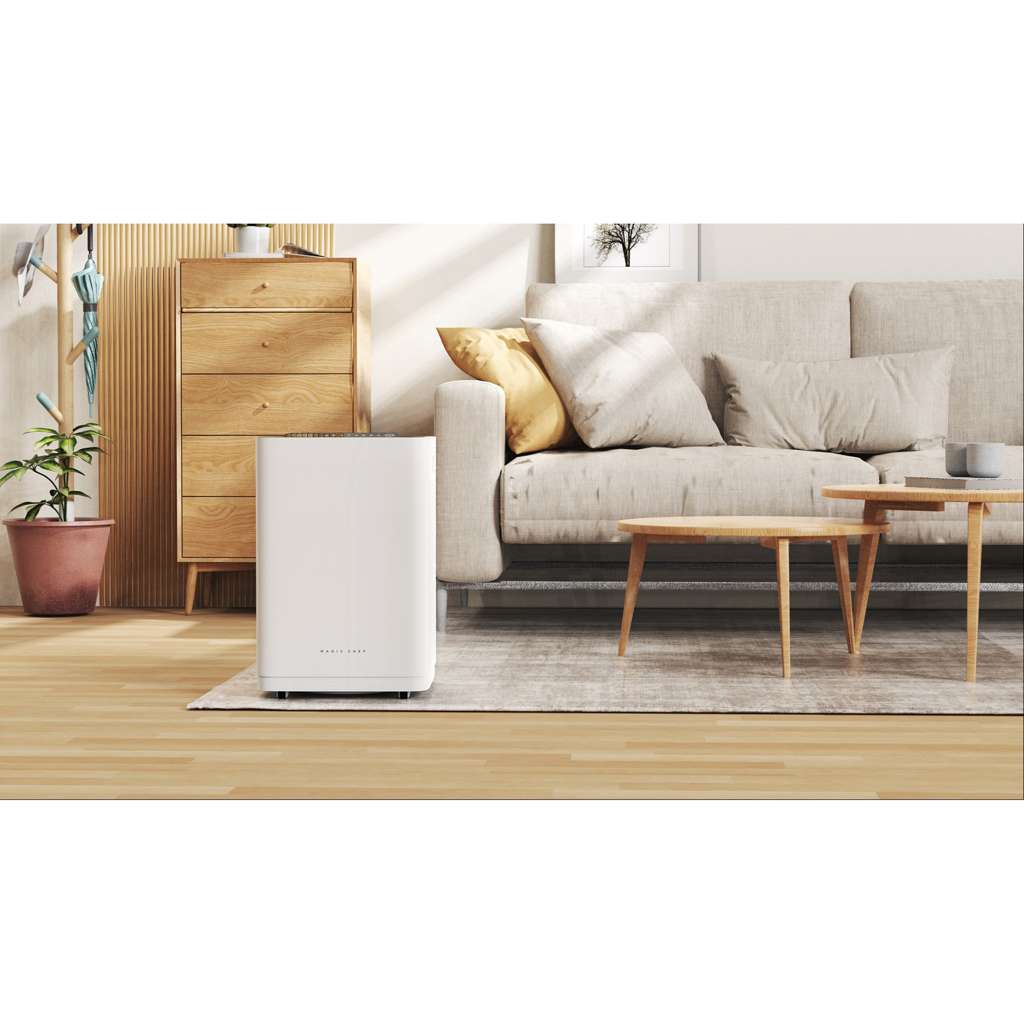 Dual HEPA Filter Plasma Ion Air Purifier