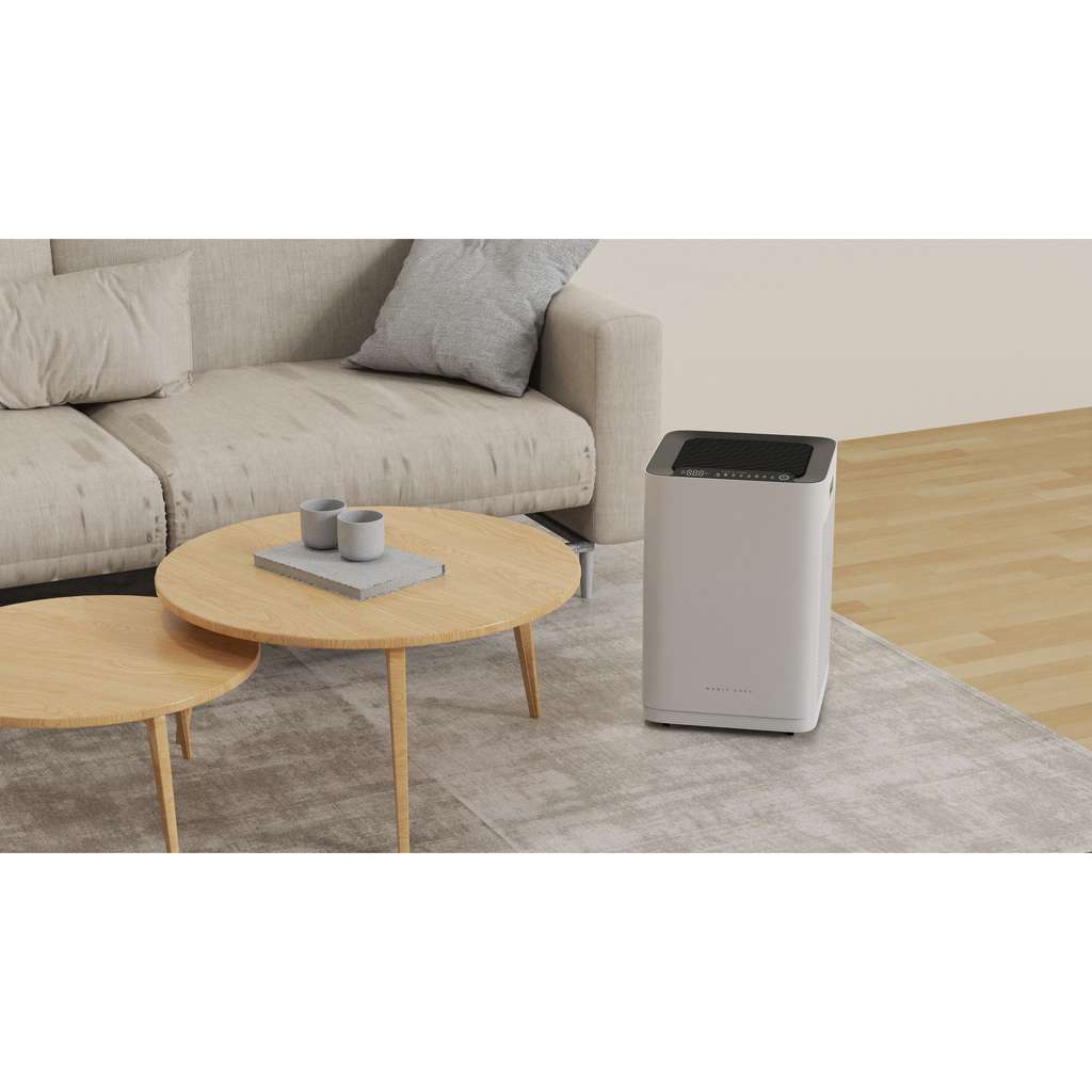 Dual HEPA Filter Plasma Ion Air Purifier